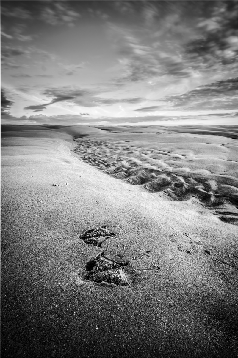3rd Place - Andy Bracey - Seagul Footprints